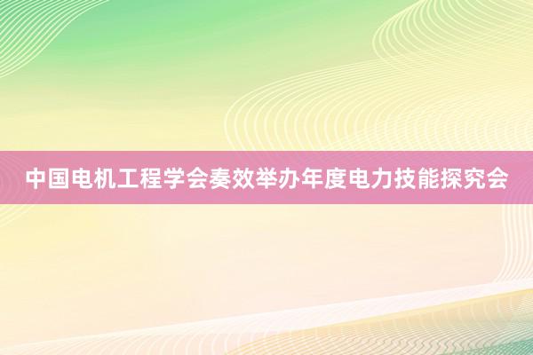 中国电机工程学会奏效举办年度电力技能探究会