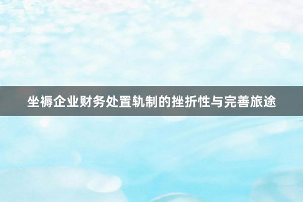 坐褥企业财务处置轨制的挫折性与完善旅途