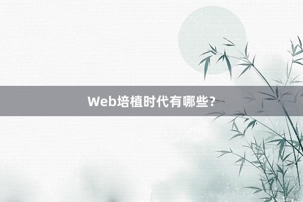 Web培植时代有哪些？