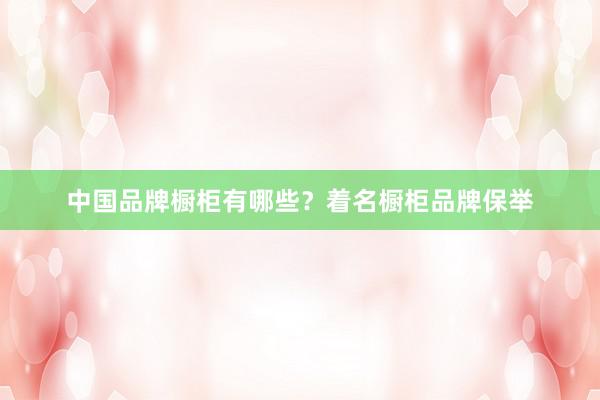 中国品牌橱柜有哪些？着名橱柜品牌保举