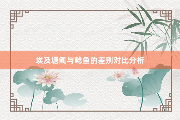 埃及塘鲺与鲶鱼的差别对比分析